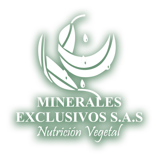 Minerales Exclusivos